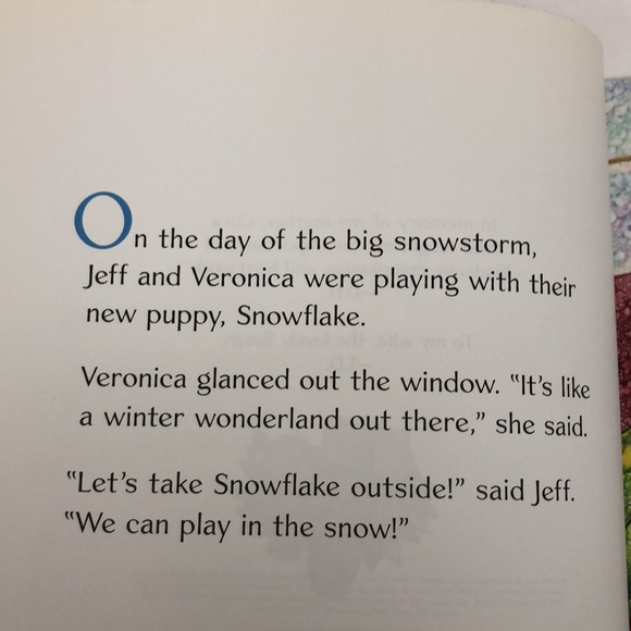 A Very Special Snowflake paperback - Picture 3 of 10